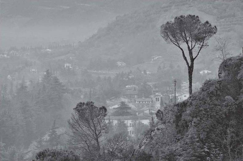 Иллюстрация к книге — Нежная магия Тосканы. Вино, коты и призраки [i_055.jpg]