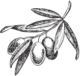 Иллюстрация к книге — Нежная магия Тосканы. Вино, коты и призраки [i_059.jpg]