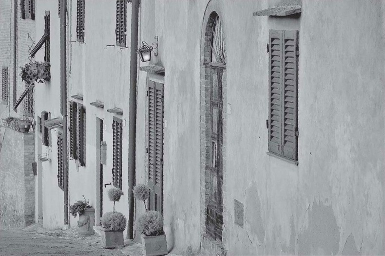 Иллюстрация к книге — Нежная магия Тосканы. Вино, коты и призраки [i_068.jpg]