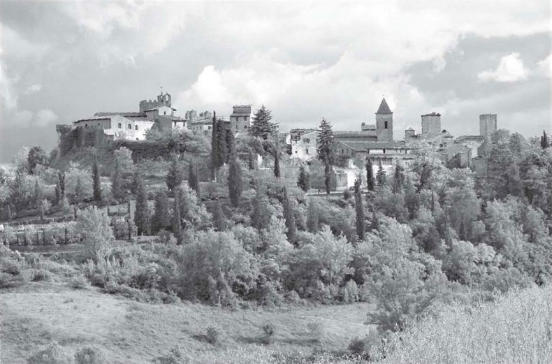 Иллюстрация к книге — Нежная магия Тосканы. Вино, коты и призраки [i_074.jpg]