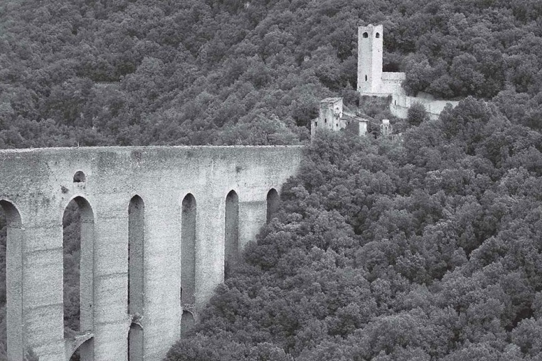 Иллюстрация к книге — Нежная магия Тосканы. Вино, коты и призраки [i_076.jpg]