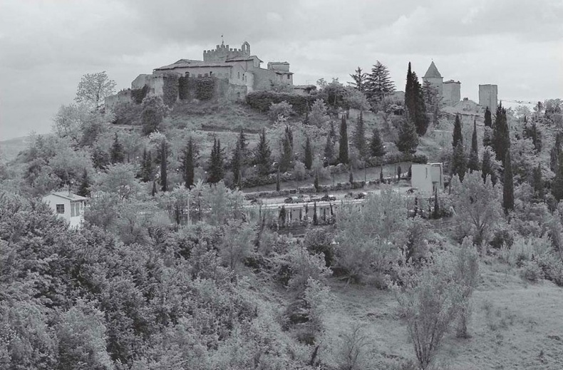 Иллюстрация к книге — Нежная магия Тосканы. Вино, коты и призраки [i_093.jpg]