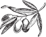 Иллюстрация к книге — Нежная магия Тосканы. Вино, коты и призраки [i_097.jpg]