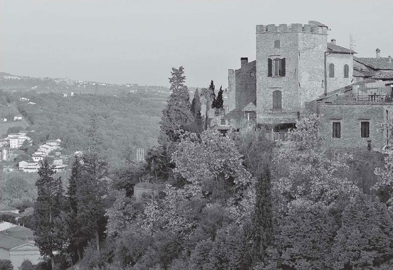 Иллюстрация к книге — Нежная магия Тосканы. Вино, коты и призраки [i_102.jpg]