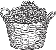 Иллюстрация к книге — Нежная магия Тосканы. Вино, коты и призраки [i_104.jpg]