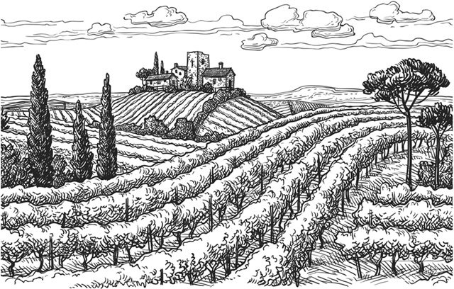 Иллюстрация к книге — Нежная магия Тосканы. Вино, коты и призраки [i_107.jpg]