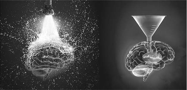 Иллюстрация к книге — Код убеждения. Как нейромаркетинг повышает продажи, эффективность рекламных кампаний и конверсию сайта [i_004.jpg]