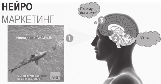 Иллюстрация к книге — Код убеждения. Как нейромаркетинг повышает продажи, эффективность рекламных кампаний и конверсию сайта [i_019.jpg]