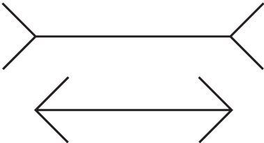 Иллюстрация к книге — Код убеждения. Как нейромаркетинг повышает продажи, эффективность рекламных кампаний и конверсию сайта [i_114.jpg]