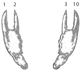 Иллюстрация к книге — Код. Тайный язык информатики [i_081.jpg]