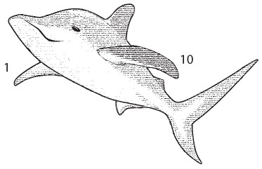 Иллюстрация к книге — Код. Тайный язык информатики [i_083.jpg]