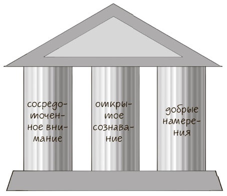 Иллюстрация к книге — Сознавание [i_009.jpg]