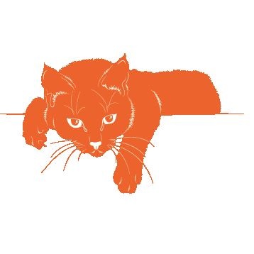 Иллюстрация к книге — Если все кошки в мире исчезнут [i_002.jpg]