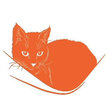 Иллюстрация к книге — Если все кошки в мире исчезнут [i_037.jpg]