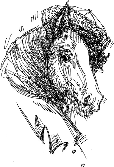 Иллюстрация к книге — Воздушный поцелуй [i_012.jpg]