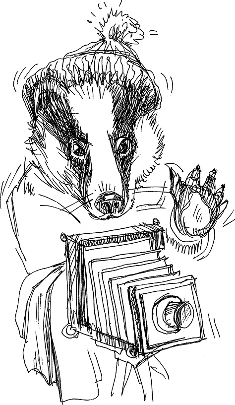 Иллюстрация к книге — Воздушный поцелуй [i_023.jpg]