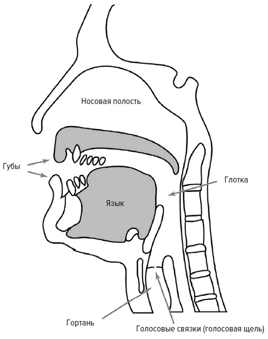 Иллюстрация к книге — Зачем мы говорим [i_004.jpg]
