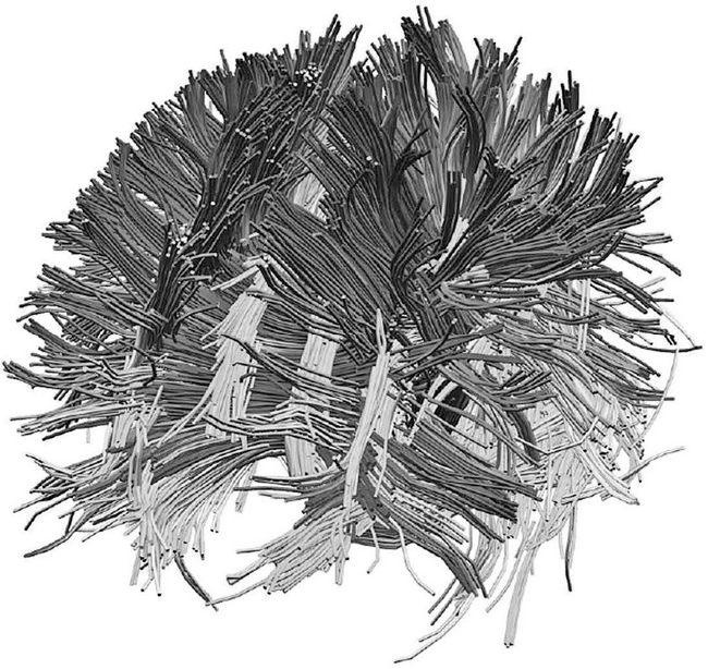 Иллюстрация к книге — Зачем мы говорим [i_010.jpg]