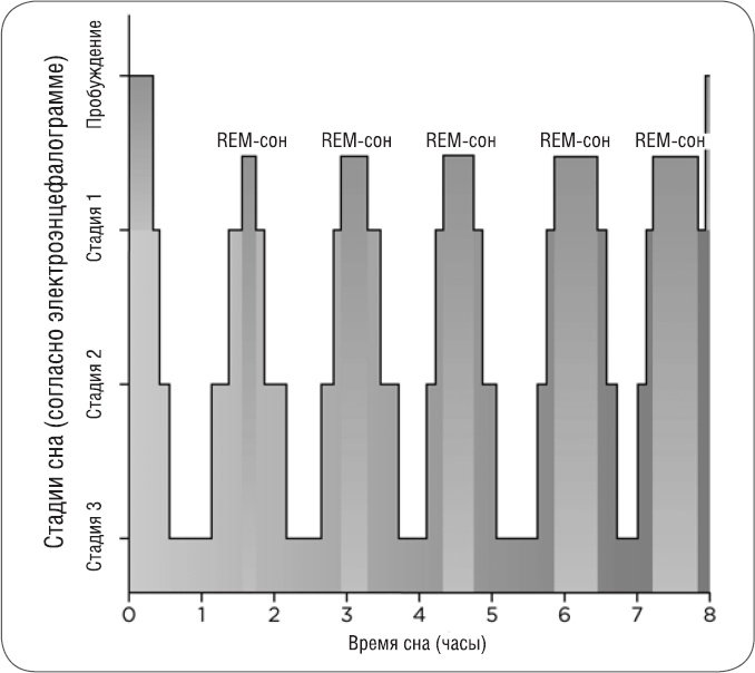 Иллюстрация к книге — Как победить бессонницу? Здоровый сон за 6 недель [i_013.jpg]