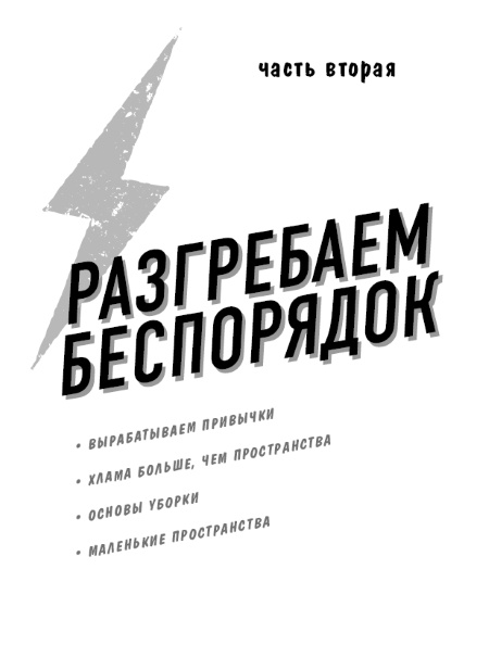 Иллюстрация к книге — Разгреби свой срач. Как перестать ненавидеть уборку и полюбить свой дом [i_003.jpg]