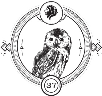 Иллюстрация к книге — Восход багровой ночи [i_039.jpg]