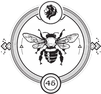 Иллюстрация к книге — Восход багровой ночи [i_047.jpg]