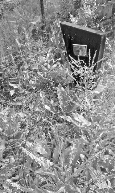 Иллюстрация к книге — Тайны жизни Ники Турбиной («Я не хочу расти…) [i_084.jpg]