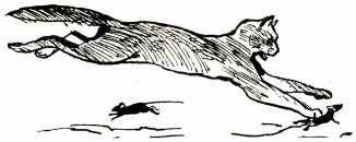 Иллюстрация к книге — Том в горах [i_003.jpg]