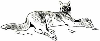 Иллюстрация к книге — Том в горах [i_005.jpg]