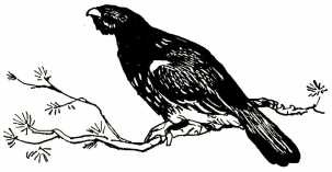 Иллюстрация к книге — Том в горах [i_010.jpg]