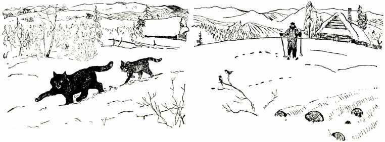 Иллюстрация к книге — Том в горах [i_014.jpg]