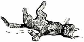 Иллюстрация к книге — Том в горах [i_025.jpg]