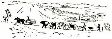 Иллюстрация к книге — Том в горах [i_029.jpg]