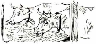 Иллюстрация к книге — Том в горах [i_032.jpg]