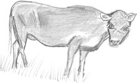 Иллюстрация к книге — Молоко! Самый спорный продукт [i_001.jpg]