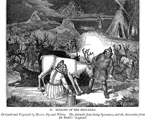 Иллюстрация к книге — Молоко! Самый спорный продукт [i_003.jpg]