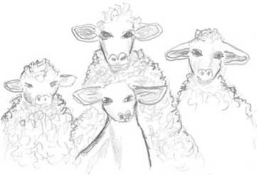 Иллюстрация к книге — Молоко! Самый спорный продукт [i_005.jpg]