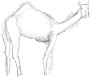 Иллюстрация к книге — Молоко! Самый спорный продукт [i_010.jpg]