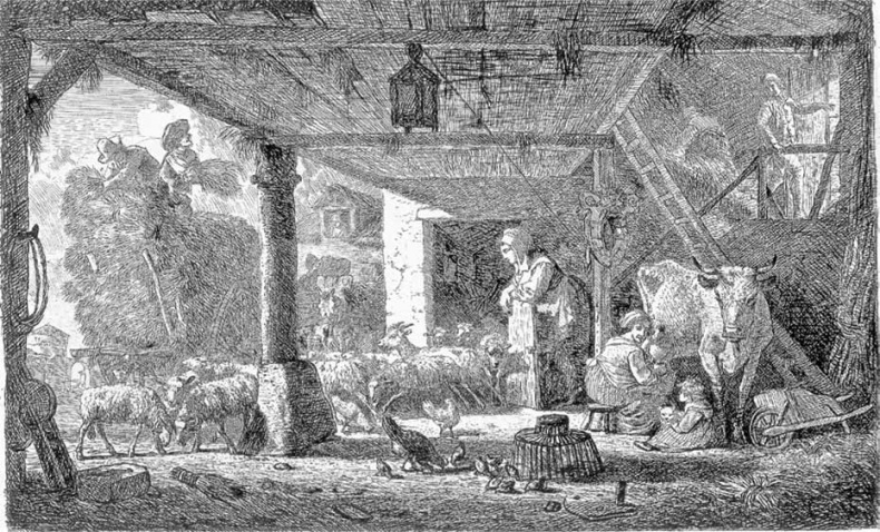 Иллюстрация к книге — Молоко! Самый спорный продукт [i_011.jpg]