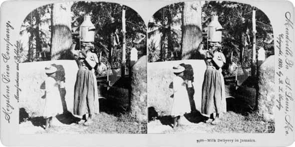 Иллюстрация к книге — Молоко! Самый спорный продукт [i_020.jpg]