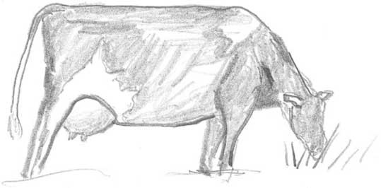 Иллюстрация к книге — Молоко! Самый спорный продукт [i_028.jpg]