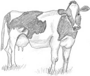 Иллюстрация к книге — Молоко! Самый спорный продукт [i_035.jpg]