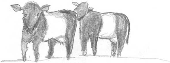 Иллюстрация к книге — Молоко! Самый спорный продукт [i_052.jpg]