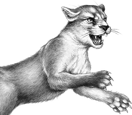 Иллюстрация к книге — День огня [i_004.jpg]