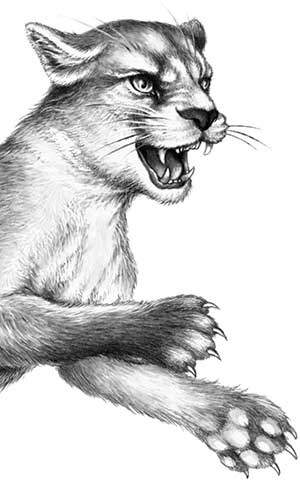 Иллюстрация к книге — День огня [i_013.jpg]