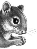 Иллюстрация к книге — День огня [i_018.jpg]