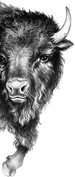 Иллюстрация к книге — День огня [i_019.jpg]