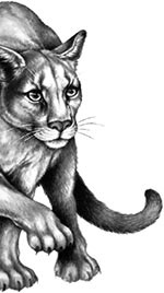 Иллюстрация к книге — День огня [i_028.jpg]