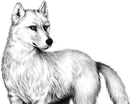 Иллюстрация к книге — День огня [i_030.jpg]