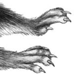 Иллюстрация к книге — День огня [i_033.jpg]